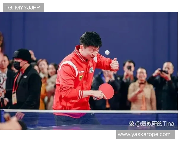 杭州乒乓球队在比赛中经验积累显著提升创新高引发广泛关注与赞誉