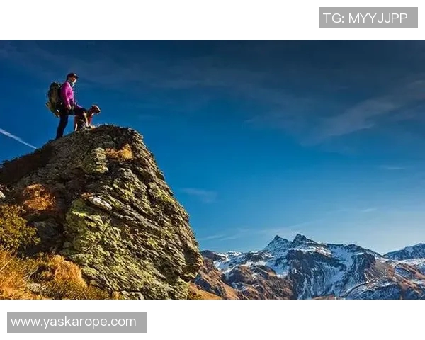 李静畅谈篮球成功秘诀揭秘背后的努力与坚持 李静畅谈篮球成功秘诀揭秘背后的努力与坚持