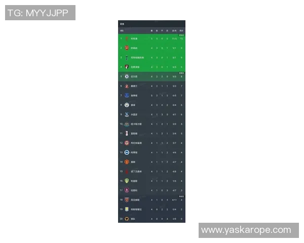英超权威发布最新排球状态实力榜单揭示球队竞争力与发展潜力 英超权威发布最新排球状态实力榜单揭示球队竞争力与发展潜力