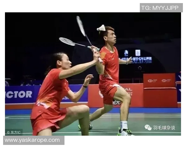 上海羽毛球队区域防守分析及其在比赛中的得失表现探讨 上海羽毛球队区域防守分析及其在比赛中的得失表现探讨