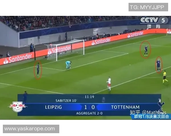 体育实时数据武汉篮球队技术分析与战术探讨聚焦球队发展与未来展望