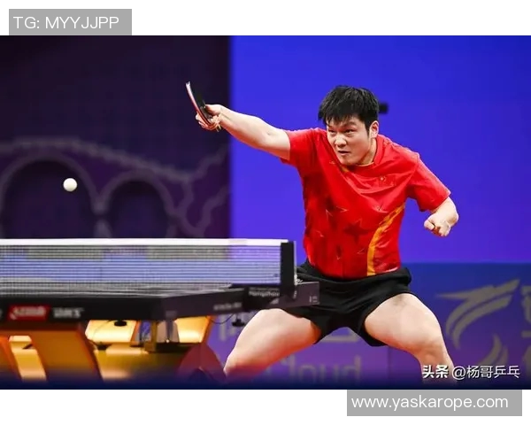 运动数据乒乓球技艺探秘杭州乒乓球队反击战术的深度解析与启示